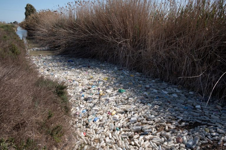 Esto es la desembocadura del río Segura, así gestionamos los envases de bebida después de usados, buen provecho cuando acaben en nuestro estómago. <a href="/Podem_/">Podem</a> evitar-ho, no?