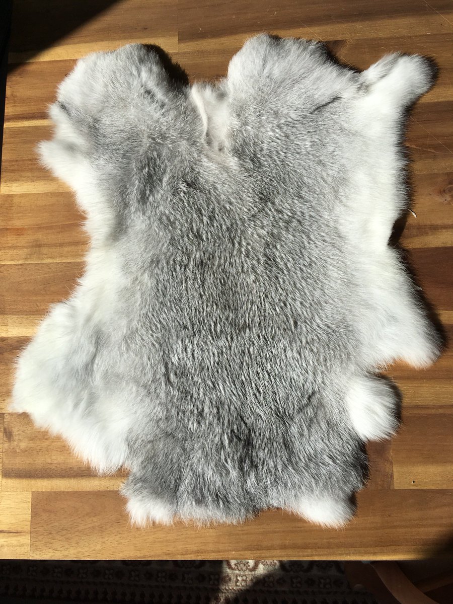 english_rabbit's tweet photo. Great news, the sought after chinchilla pelts are now available for general sale #larp #costume #crafts #fur Beautiful skin for under £10 https://t.co/OJaKqF34fT