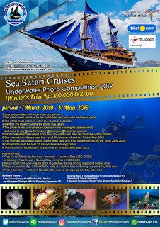 Under Water Foto Competition Sea Cruises 2019 ift.tt/2HTRW1f #FestivalFair #Event #Infolomba #Lomba #Info #Kompetisi #Sayembara