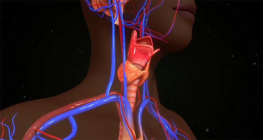 Jenny24434349's tweet photo. Have you heard?
Some #food-packaging #pollutants mess with the #thyroid.
Find out how - https://t.co/GbJP5t7hl7
#toxicology2019 #toxicology #foodsafety https://t.co/lnJPQLUL4D