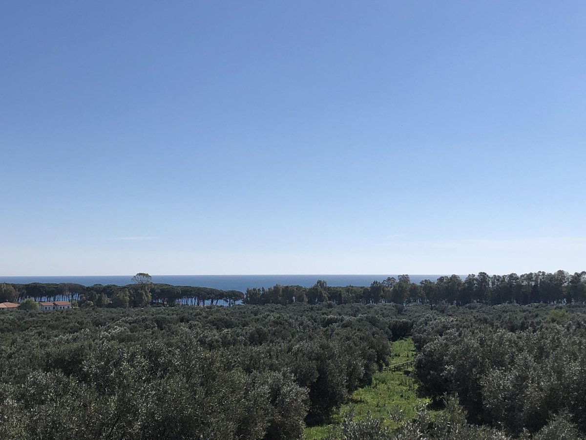 Seconda giornata del convegno "Archivi fotografici, storia dell'arte e tutela", nella splendida cornice del parco di Scolacium <a href="/giocapitelli/">giocapitelli</a> <a href="/MariaS_Ruga/">Maria S. Ruga</a>