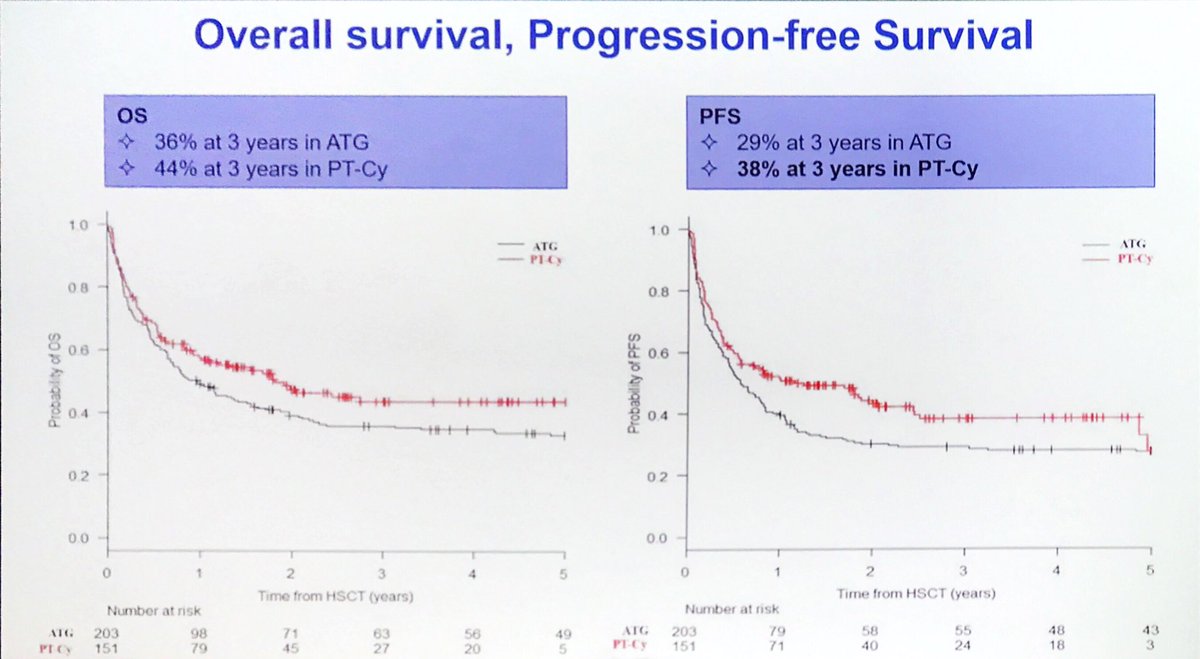 gvhd_hub's tweet photo. #EBMT19 Raffaella Greco from @SanRaffaeleMI: extended follow-up shows sirolimus-based #GvHD prophylaxis is feasible and safe in patients receiving haploidentical HSCT #bmtsm https://t.co/EvjGF7Upbx