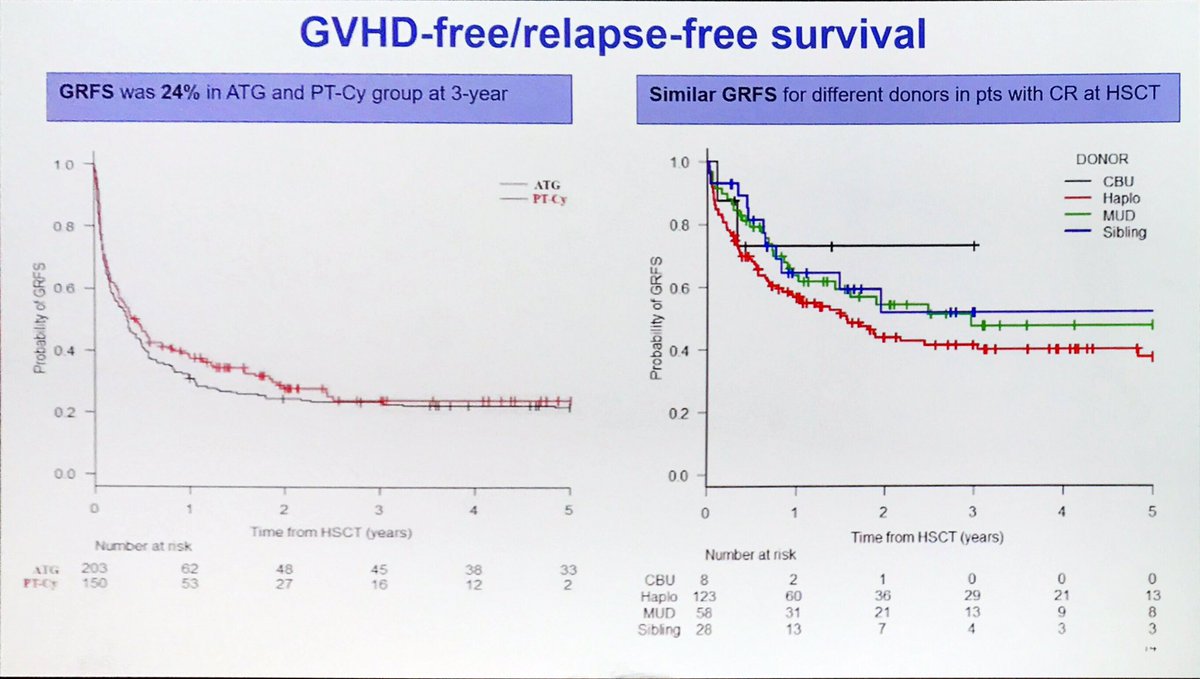 gvhd_hub's tweet photo. #EBMT19 Raffaella Greco from @SanRaffaeleMI: extended follow-up shows sirolimus-based #GvHD prophylaxis is feasible and safe in patients receiving haploidentical HSCT #bmtsm https://t.co/EvjGF7Upbx