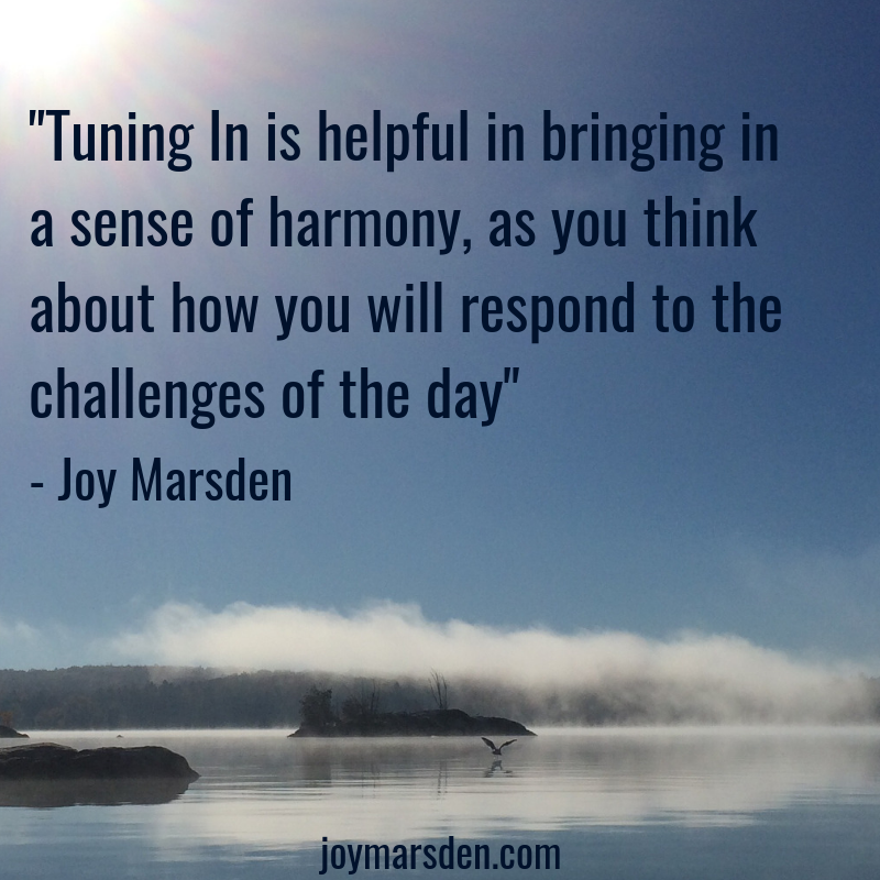 Joy Marsden tweet media