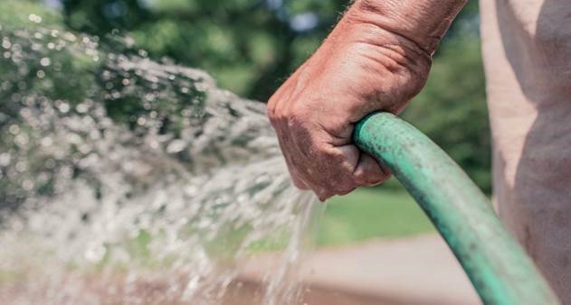 Trinity McQueen tweet media