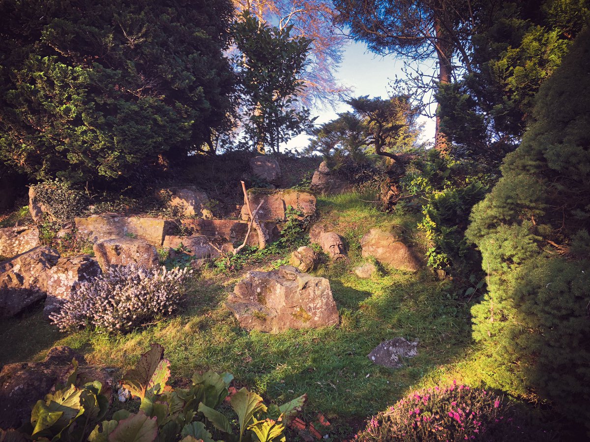 erb_ruth's tweet photo. Sunny weather in the #garden this weekend #gardening #gardenwildlife https://t.co/8xcobzVs6w