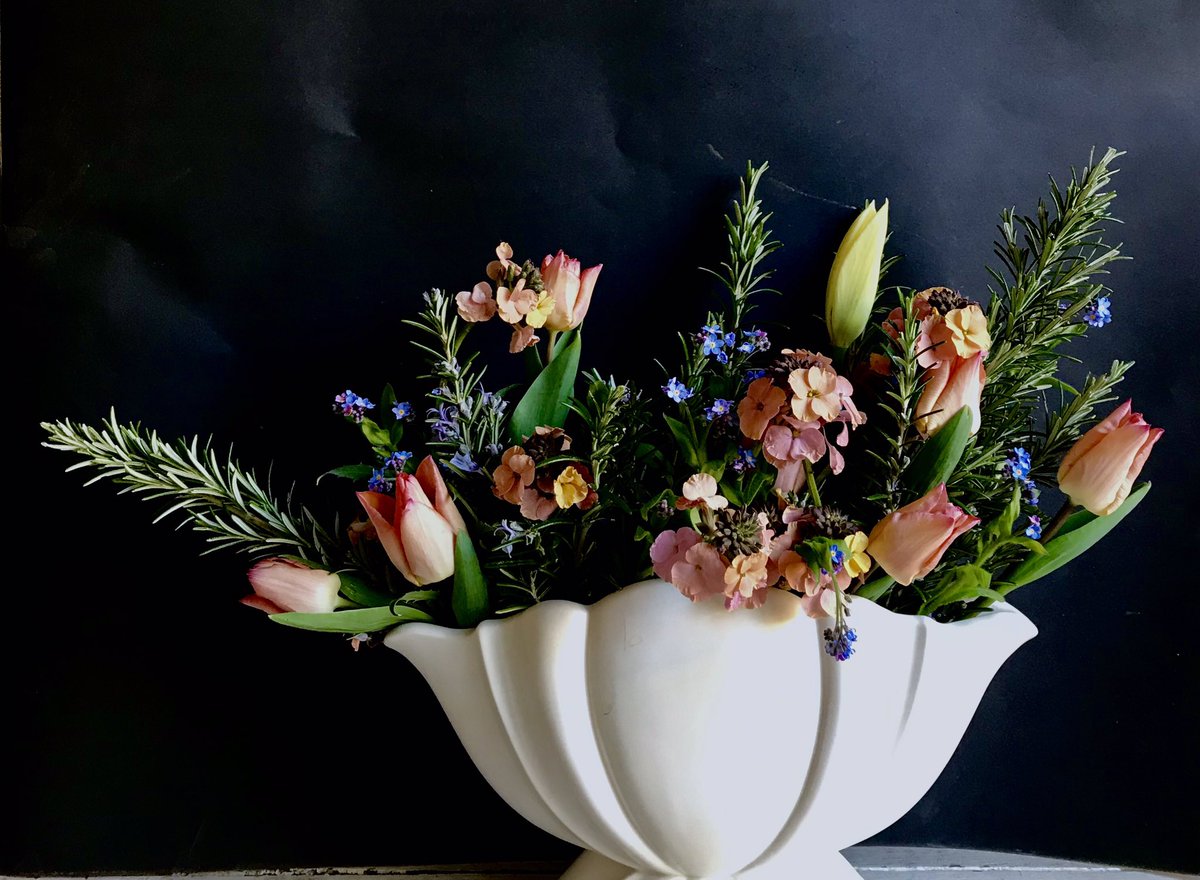 theremaybebugs's tweet image. #homegrown #britishflowers #deliveringlocally #TW12 #TW11 #TheHamptons #Teddington @SpineCentral @VintiqueChairs @smartkaty @cushiongal @thymeatthepark @plenty_cafe @emberyogatw12 @EV_Wax @Vidatherapy_spa #springflowers