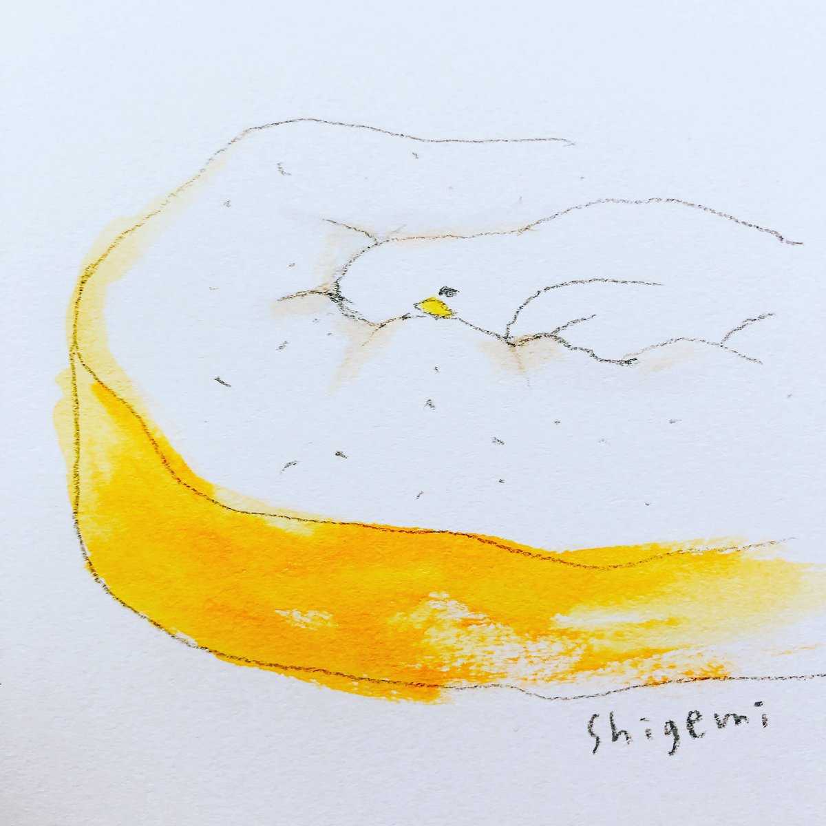 「今日も朝からずっと眠い 」|shigemiのイラスト