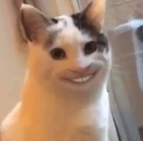 𝒶𝓃𝑔𝑒𝓁 𝓉𝑒𝓃𝓃𝒾𝑒𓆩♡𓆪 tweet media