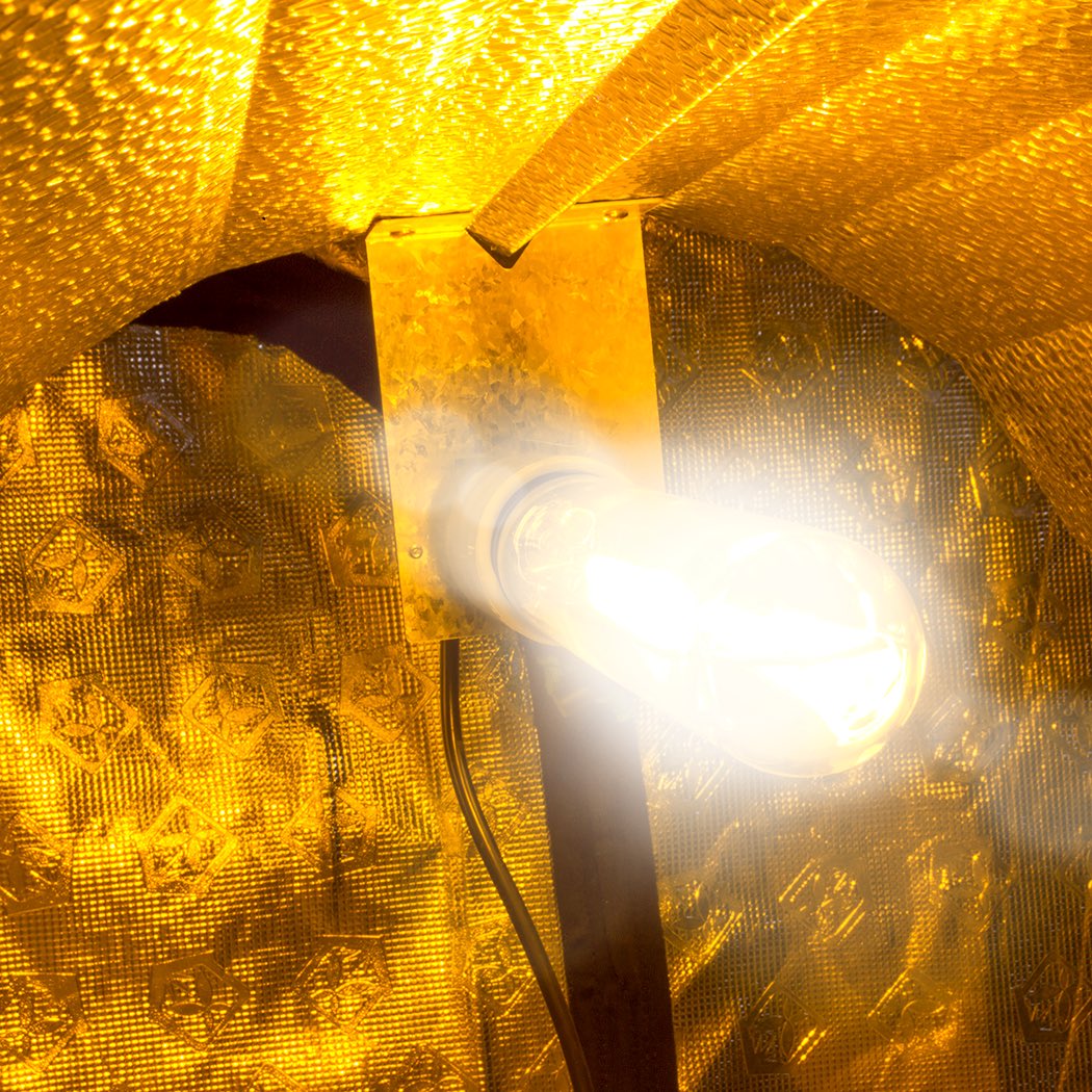 The LUMii BLACK 600 W HPS Lamp is perfect for stimulating enhanced flowering with its raised blues. The lamp offers 20,000 life hours and 88,000 Lumens.

#LUMii #LUMiiBLACK #Lamp #GrowLight #GrowLighting #Grow #HorticulturalLighting #HPS #HPSLight #Ballast #Reflector