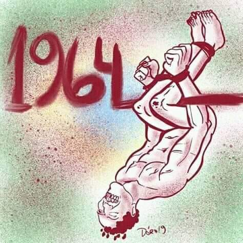 Malu Pedroso tweet media