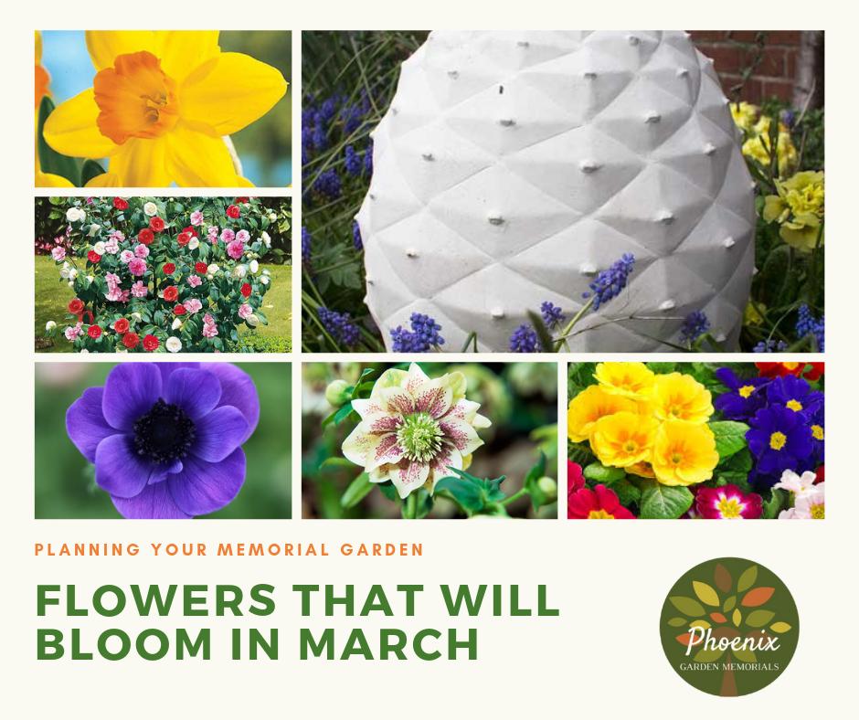 Planning your Memorial Garden? Here are 5 flowers that will bloom in March. #TuesdayThoughts oh and one of our fantastic Fir Cone Garden Memorial.