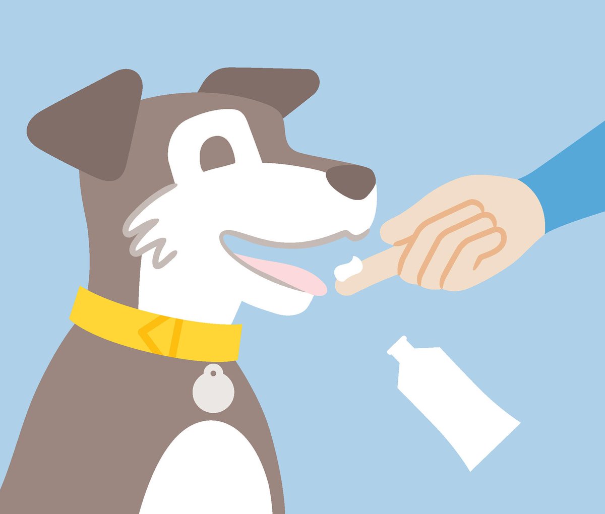 DogsTrust's tweet photo. Happy Toothsday! 🐶 Does your dog have the perfect smile? 😬 We have some information on WHEN you should start brushing their teeth and 5 easy steps on HOW to do it here 👉 https://t.co/Jgjscvrw2P https://t.co/Xu5PTMcKq2