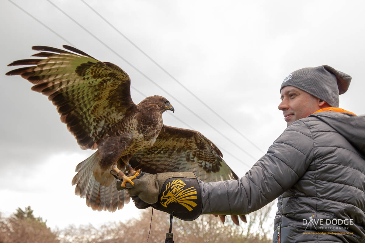 AtulsEarth's tweet image. More pictures from the fantastic @LibertysCentre in the #NewForest, check them out this summer! Along with the highly recommended @DDodgePhotos and @HeadFudge. Check out the #Outdoor #Clothing promo video at: m.youtube.com/watch?v=l8MqrE… #Birds #Snakes #Photography #Ad