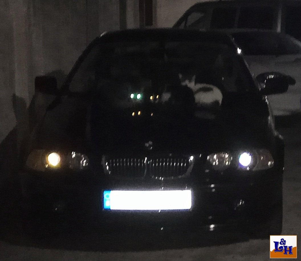 LifeNHobby's tweet image. Tanto van los gatos al calor de nuestro E46 que al final el coche ya tiene la misma mirada felina por la noche... 😼 #bmw #m54b22 #e46 #livencars #gato #cat #cateye #felinos