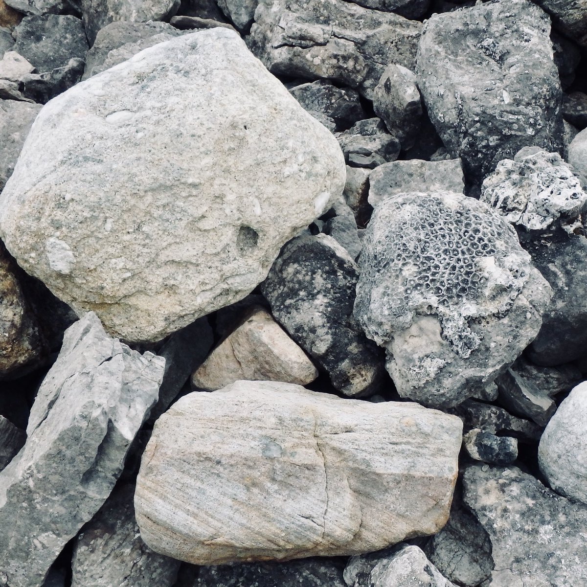 QuaternaryCycle's tweet photo. Fine views of Co. Donegal &amp; Strandhill from Knocknarea's summit (Co Sligo) &amp; the imposing sight of 'Meabh's Lump', possibly a passage tomb from c.5000 kya. Although the cairn is thought to be composed mainly of local limestone, other lithologies have also been carried up. https://t.co/XAaUBscYXX
