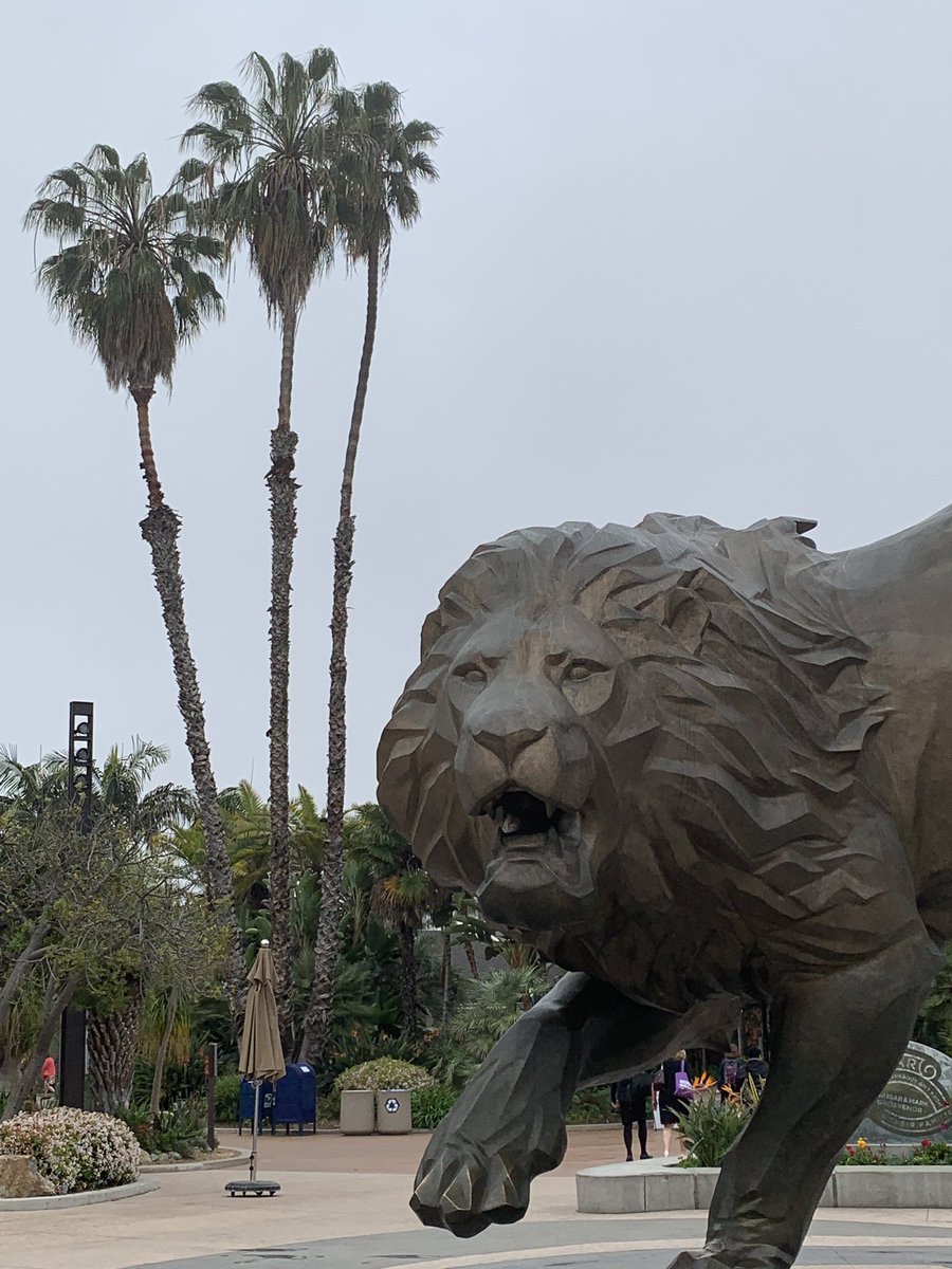 SarainABQ's tweet photo. @100Kin10 Roaring to go! @NMSI #100Kin10PartnerSummit https://t.co/G1isAPPxaE