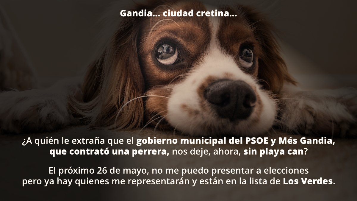JoanLSoler's tweet photo. #PlatjaCan #PlayaCan #DogBeach #Gandia #Turisme #Turismo #tourism
¿ Y te dicen que #GandiaBrilla ? https://t.co/pBuEdJHf80
