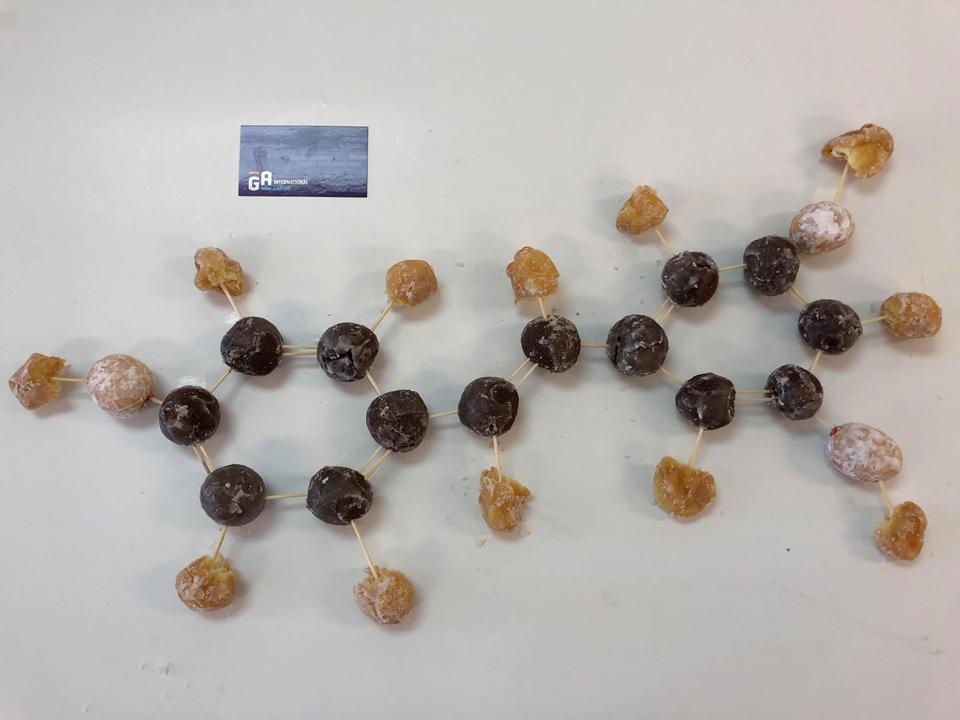 labtagofficial's tweet photo. It's #timbittuesday! This week is everyone's favorite small molecule activator of SIRT1 found in red wine, #resveratrol!
(For a good breakdown of its use as a clinical therapeutic, go here: https://t.co/9KIIP1pqTD)
@TimHortons @nature #wine #timbit #chemistry #polyphenol https://t.co/QqRLrBSBMI