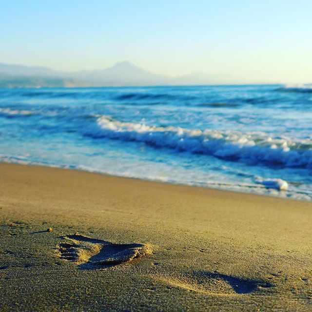 Fotomondeo's tweet photo. Where I Walked #alicante #españa #spain #bokeh #travel #adventure #wanderlust #vacation #travelgram #explore #holiday #travels #traveler #traveller #traveling #travelling #travelphotography #travelingram #travelblog #travelblogger #traveladdict #exploret… https://t.co/w4M6B60b86 https://t.co/VECcOacuth