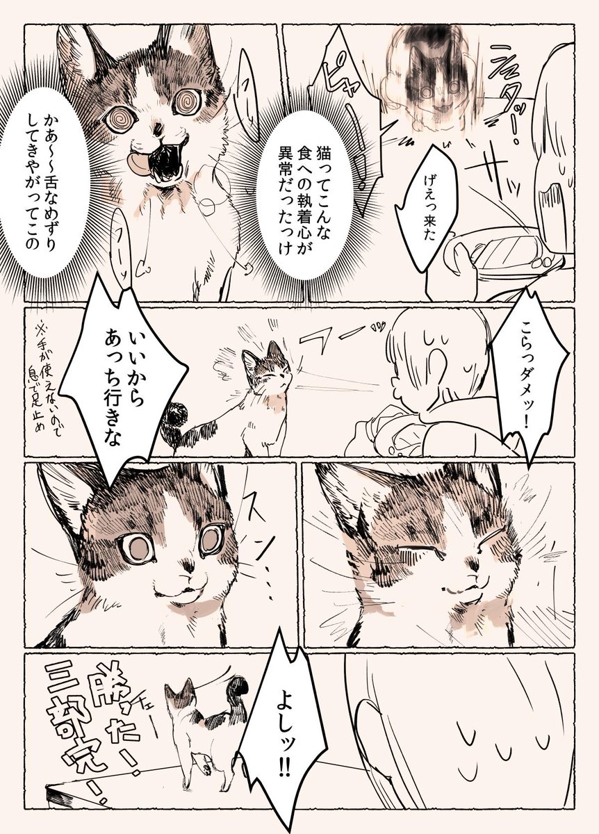 ご飯時の猫と人間の戦いの漫画です 