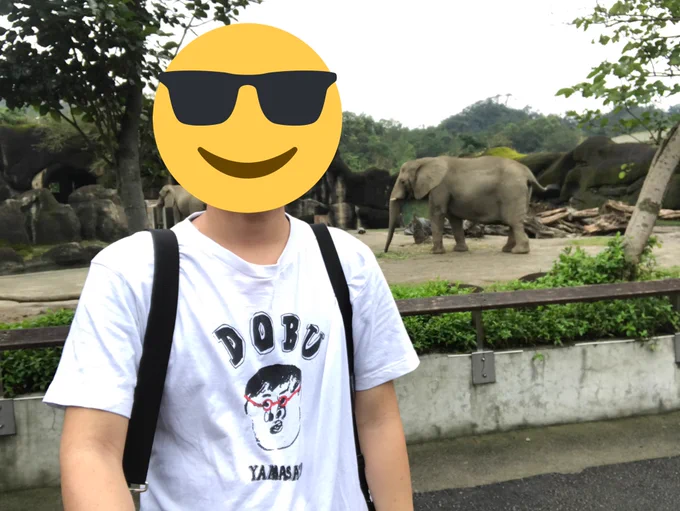 台北の動物園

海外なら台湾しか行きたくない

2017.4 