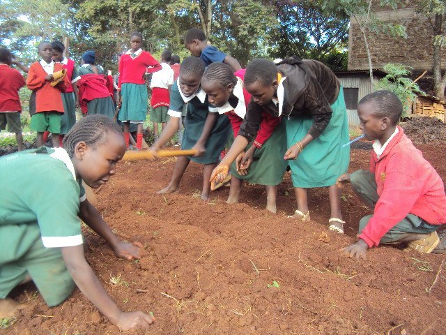 Scopekenya2's tweet photo. It is the small things that we do daily that will bring positive change in this world. Let us focus our attention in empowering children by reconnecting them with nature and culture through #permaculture to improve their creativity and decision making. https://t.co/6NWjpUubzp
