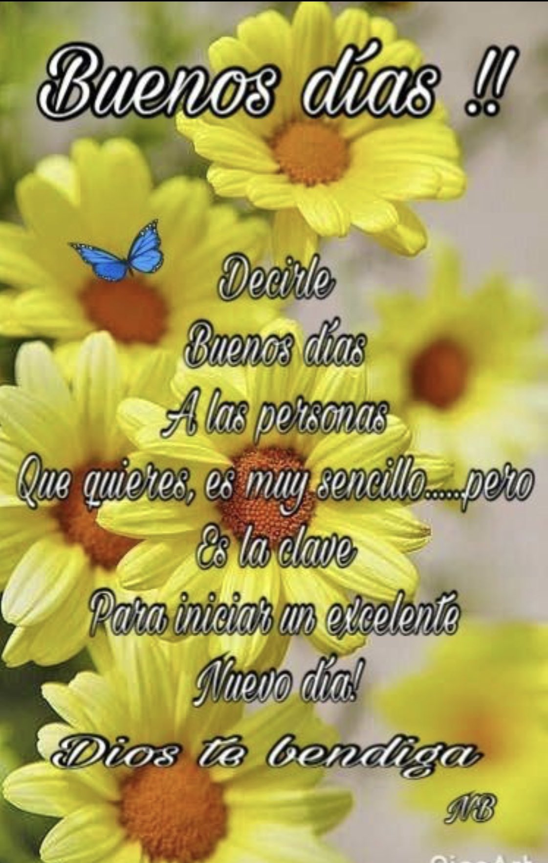 OJOS BONITOS on X: @NormaCa78327669 Buenos días bonita .!!! Feliz martes  bendiciones un abrazo 🤗 t.coWUboT0p2N2  X