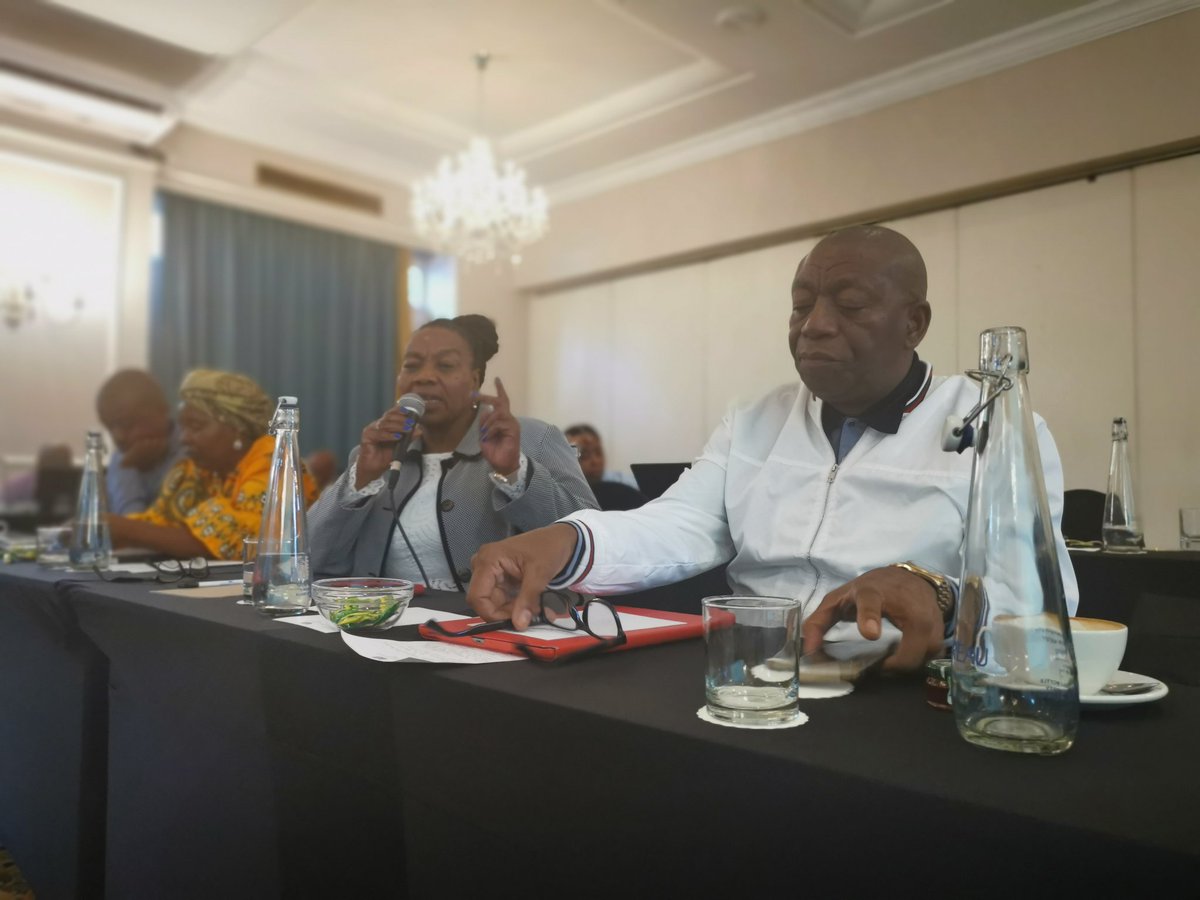 GP_DHS's tweet photo. MMC for Human Settlements @SedibengMunicipality Mmadisebo Kgomoesera comments on presentations made by various municipal representatives #GautengAtWork #DHSProjects #IGRForum https://t.co/7fjLdNkcga
