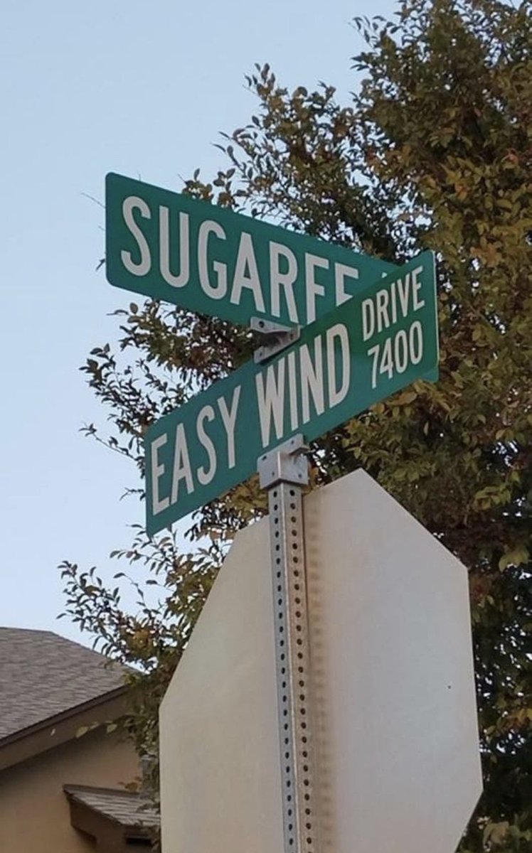 staci_SSS's tweet photo. Happy Tuesday Deadheads! Maybe you'll find direction around some corner where it's been waiting to meet you #StrangersStoppingStrangers #Deadheads #Sugaree #EasyWind https://t.co/dPdQlQhlS8