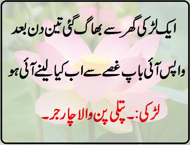 Zakia.jannam tweet media