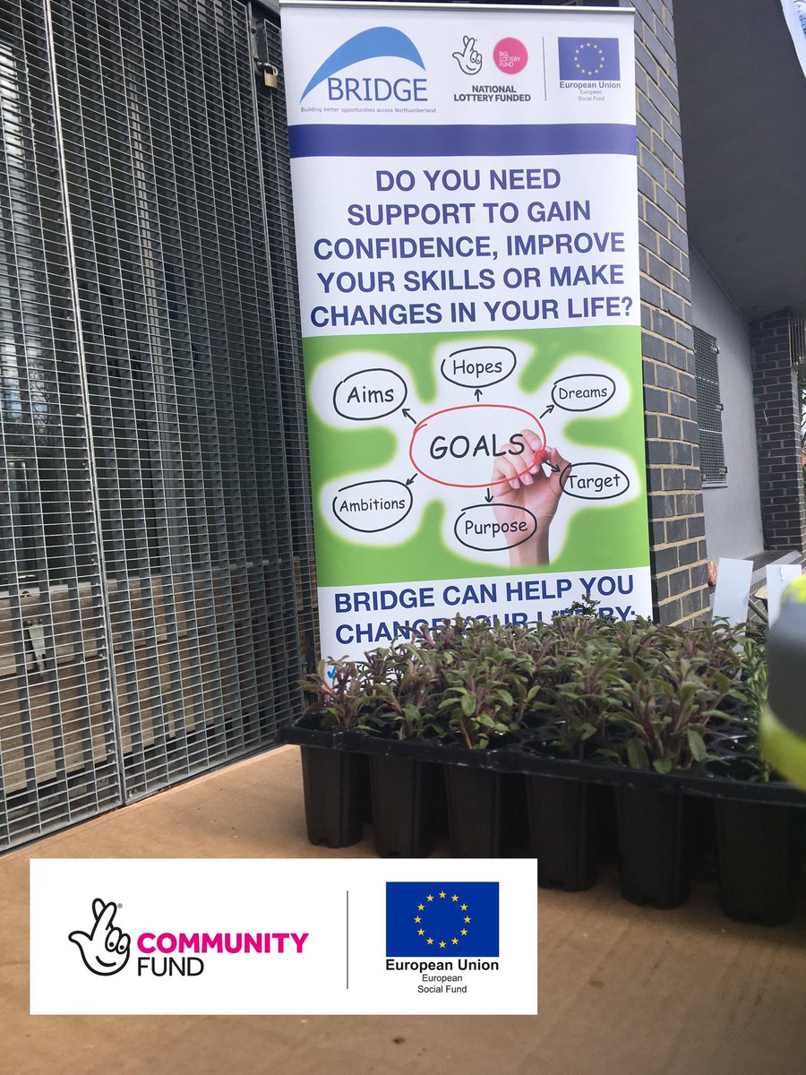 BridgeNland's tweet photo. We are in #HirstPark #Ashington this morning with @FullCircleFood . Today’s healthy meal is kebabs and herbed potatoes. Everyone is also getting their hands dirty planting up their own herb planters #TNLcomfundESF https://t.co/dKd9M3vV8A