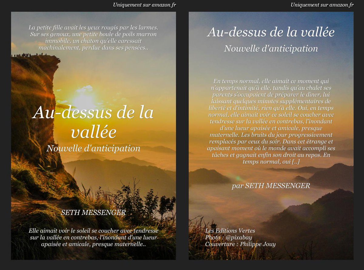 SethMessenger's tweet photo. Nouvelle d'anticipation : Au-dessus de la vallée
https://t.co/k1yrvzvBgs https://t.co/ARWiSgnR3K