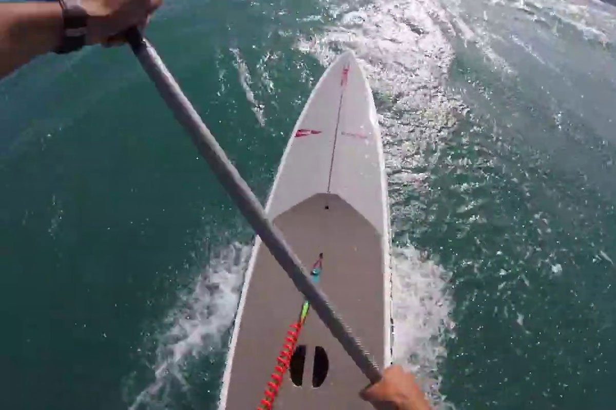 Un downwind avec Martin Vitry - bit.ly/2U0NfKz
#standuppaddle #SUP #paddle #MartinVitry #downwind #SUPjournal

Plus d'infos sur SUPjournal.com