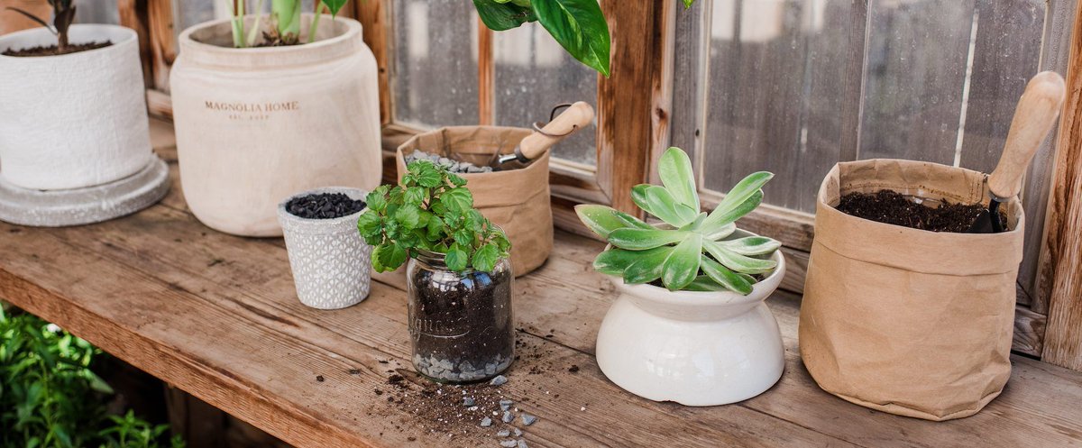 bfranklinhome's tweet photo. It's time to freshen up your home with some greenery! If you're not sure where to start, see below how to DIY potting plants for your home or outdoors! 🌱🌾🌿

#diy #houseplants 

https://t.co/aUEKK2ktx3 https://t.co/G2SfdTGegt