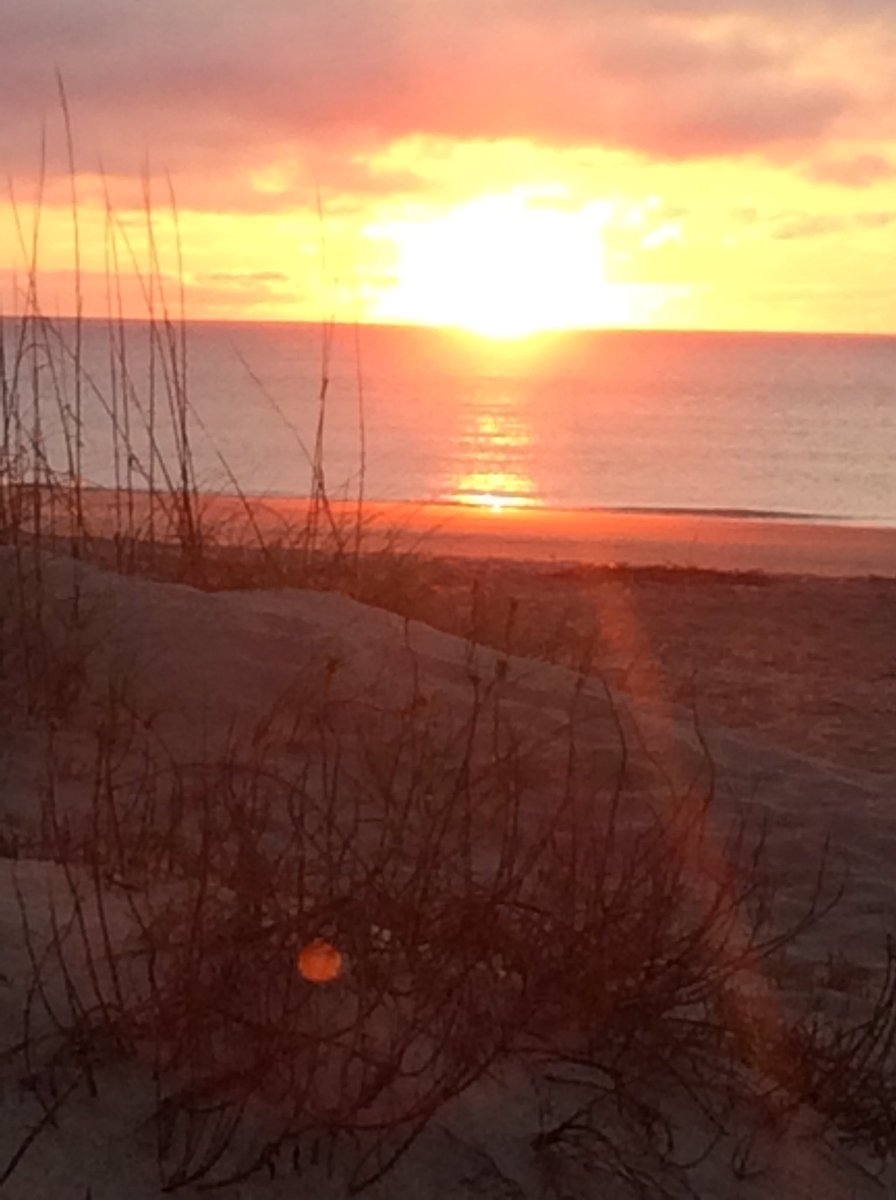 milleraj64's tweet photo. Sunrise over the Dunes #vacationtybee https://t.co/8KrbzPdti6
