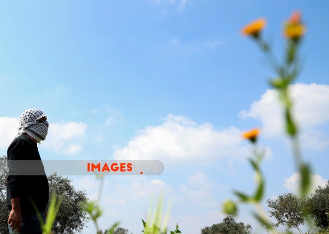 imageslive's tweet photo. Cashes occur between Palestinian demonstrators and the Israeli army in the West Bank town of Kafr Qaddum
https://t.co/OGj4ASjo9a
#Palestine
Photographe: Mohammed Turabi/#IMAGESLIVE https://t.co/KOvTaagmY8