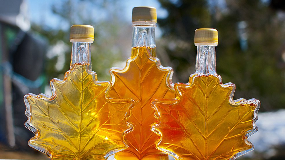 NewOakTree's tweet image. On the 27th go check out the Festival of the Maples for the 170 vendors and many other fun activities all maple related! 🍁 bit.ly/2Stpiul #NewOakTree #Ottawa #Community #Maple