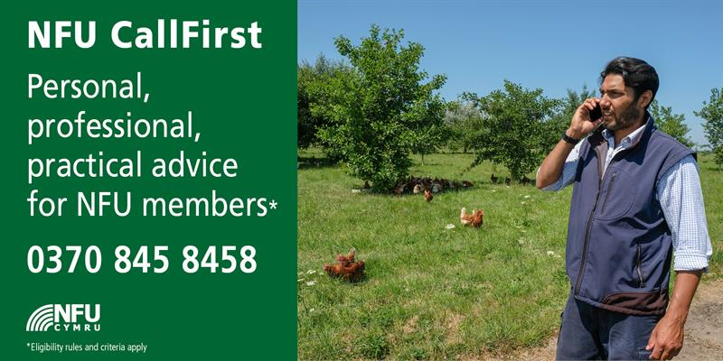 NFUCymru's tweet image. Did you know our #CallFirst team offer FREE, professional advice to our members on a range of agricultural issues? If you have a question or an issue, call today 0370 845 8458 nfuonline.com/callfirst