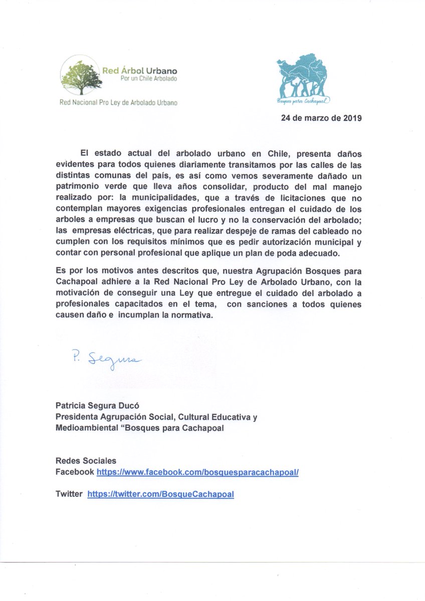 BosqueCachapoal's tweet photo. pedimos urgencia para #leyarboladourbano  no queremos mas árboles mutilados, los necesitamos con toda su fronda https://t.co/8T2zZzQvro
