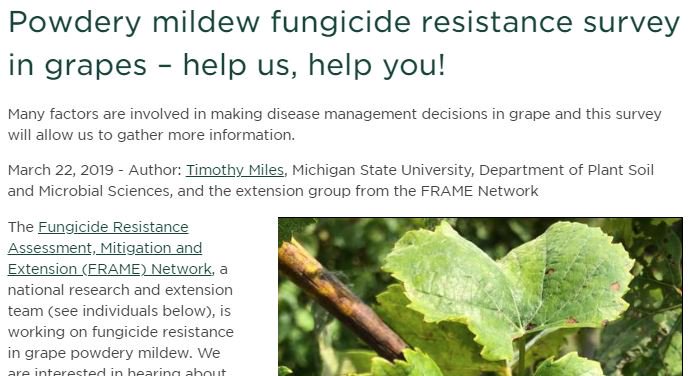 If you are a vineyard owner, manager, consultant or someone who provides fungicide recommendations for vineyards in the USA, please consider taking our survey to inform research. Pls share bit.ly/FungSurv