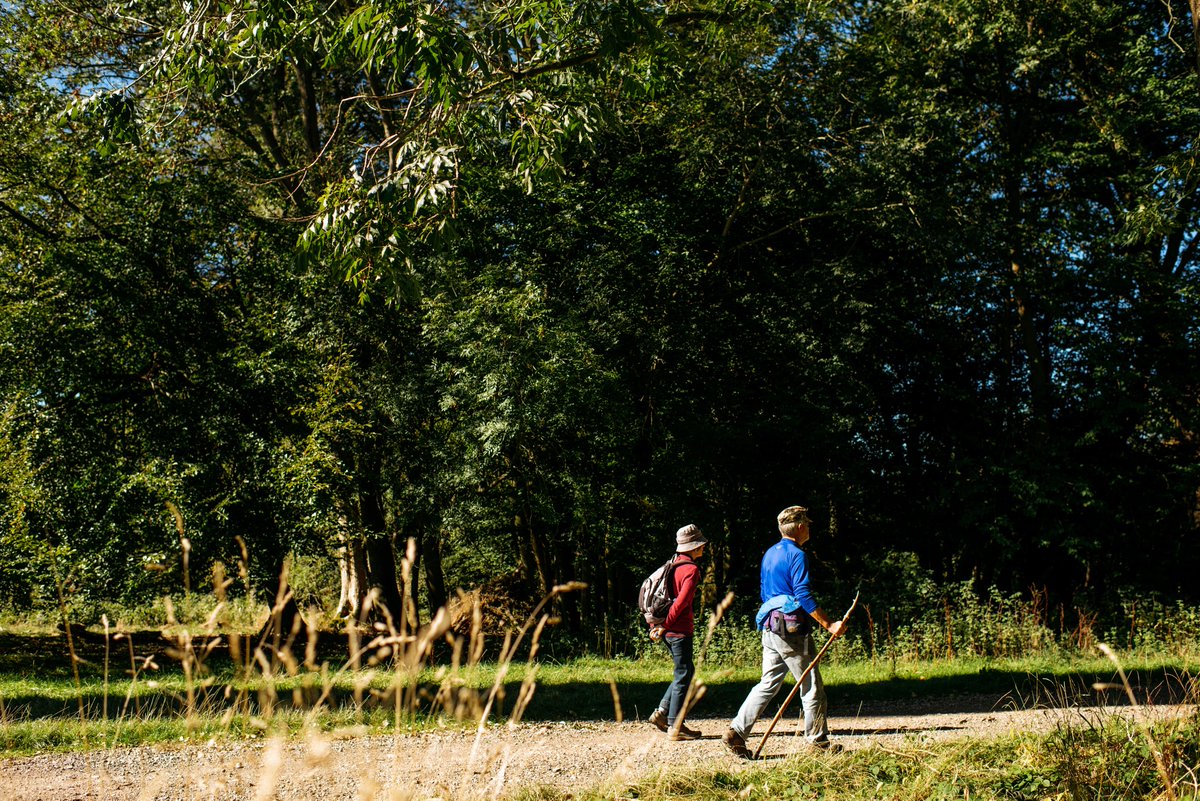 VisitHertsUK's tweet photo. With it being #TravelTuesday, can we suggest heading out to #Ashridge and discovering all of the natural wonders that Spring brings - and don't worry if you've done it before as there's 5000 acres! https://t.co/aao6PVpqAJ