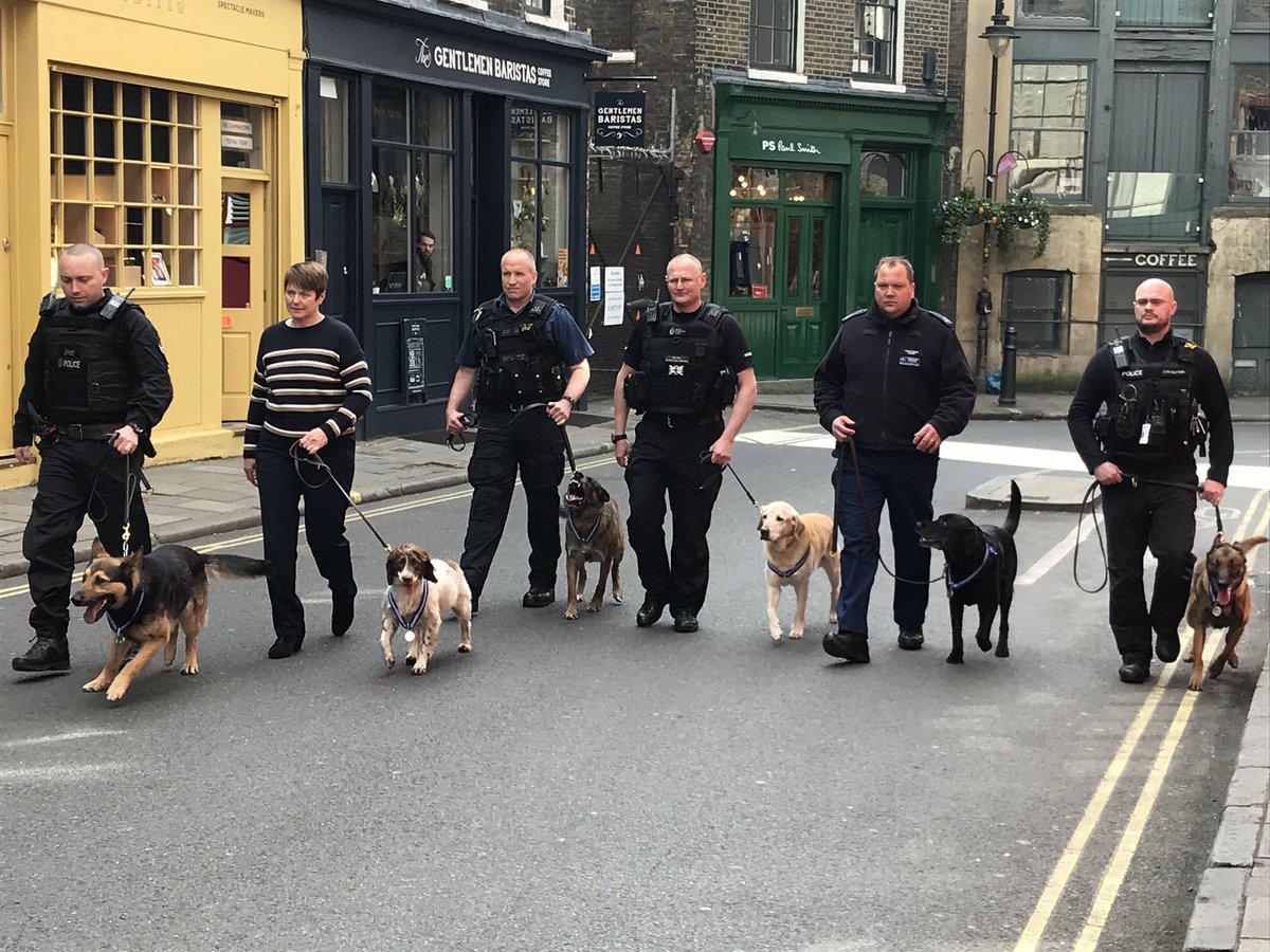 The dog squad from the Metropolitan and London Transport police with medals awarded for work during the London Bridge and Westminster terror attacks - Borough Market just now