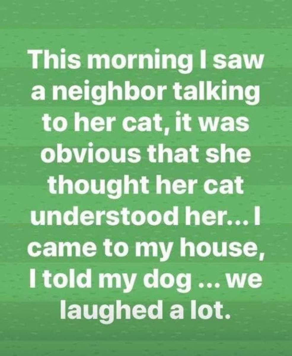 This made me chuckle 😆