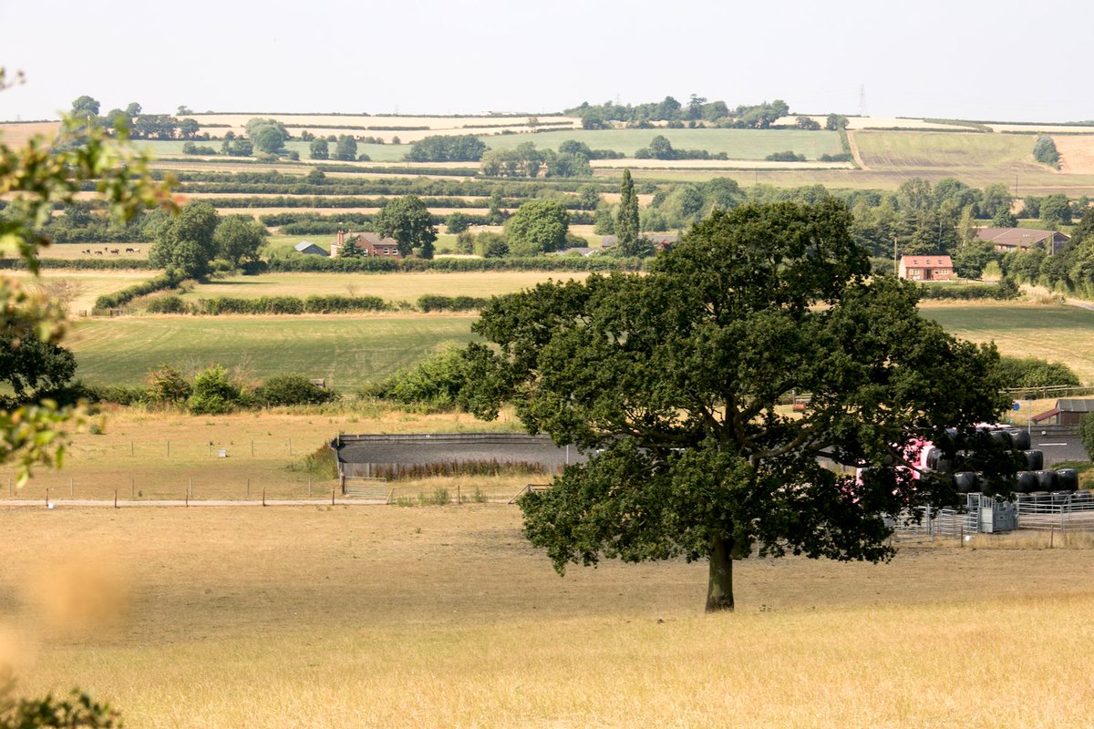 ElmsFarmCostock's tweet photo. Feels like a day just to gaze at our #englishcountryside &amp; count ourselves lucky to live in such an amazing place! Happy Tuesday everyone, enjoy these blue skies for as long as they stay #elmsfarmcostock #nottinghamshire #grandoak #luckytolivehere #blueskies #springtimeweather https://t.co/x8t7J50vKa
