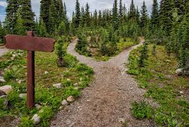 PeacefulExperi1's tweet image. All you then need is a small course correct to get you on the right track again rather than stuck on what you believe is the "correct" way.

Ian McArthur
peacefulexperience.com

#meditation #beingwrong #Wellbeing