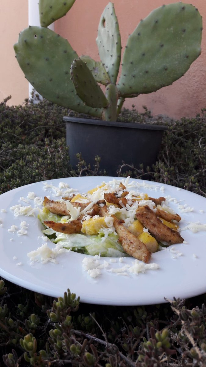 Mesleki açık öğretim sınıfı öğrencilerimizin mutfak uygulamaları dersinde yaptıkları sezar salata. Emeklerine sağlık. <a href="/usk_imkbmtal/">ÜSKÜDAR BORSA İSTANBUL MTAL</a> @CitogluZuhal <a href="/sedabykol/">Seda Büyükol</a> <a href="/gulhanuryan/">gülhan delibalta</a> <a href="/JulideOzturk/">Jülide ÖZTÜRK</a>