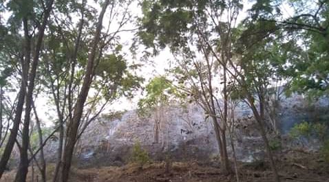 IDEALNOTICIA's tweet photo. Voraz incendio en el cerro La Mula; entre las poblaciones de Solis y Nuevo Paraíso en Planeta Rica. Piden ayuda https://t.co/uoBRECvviJ