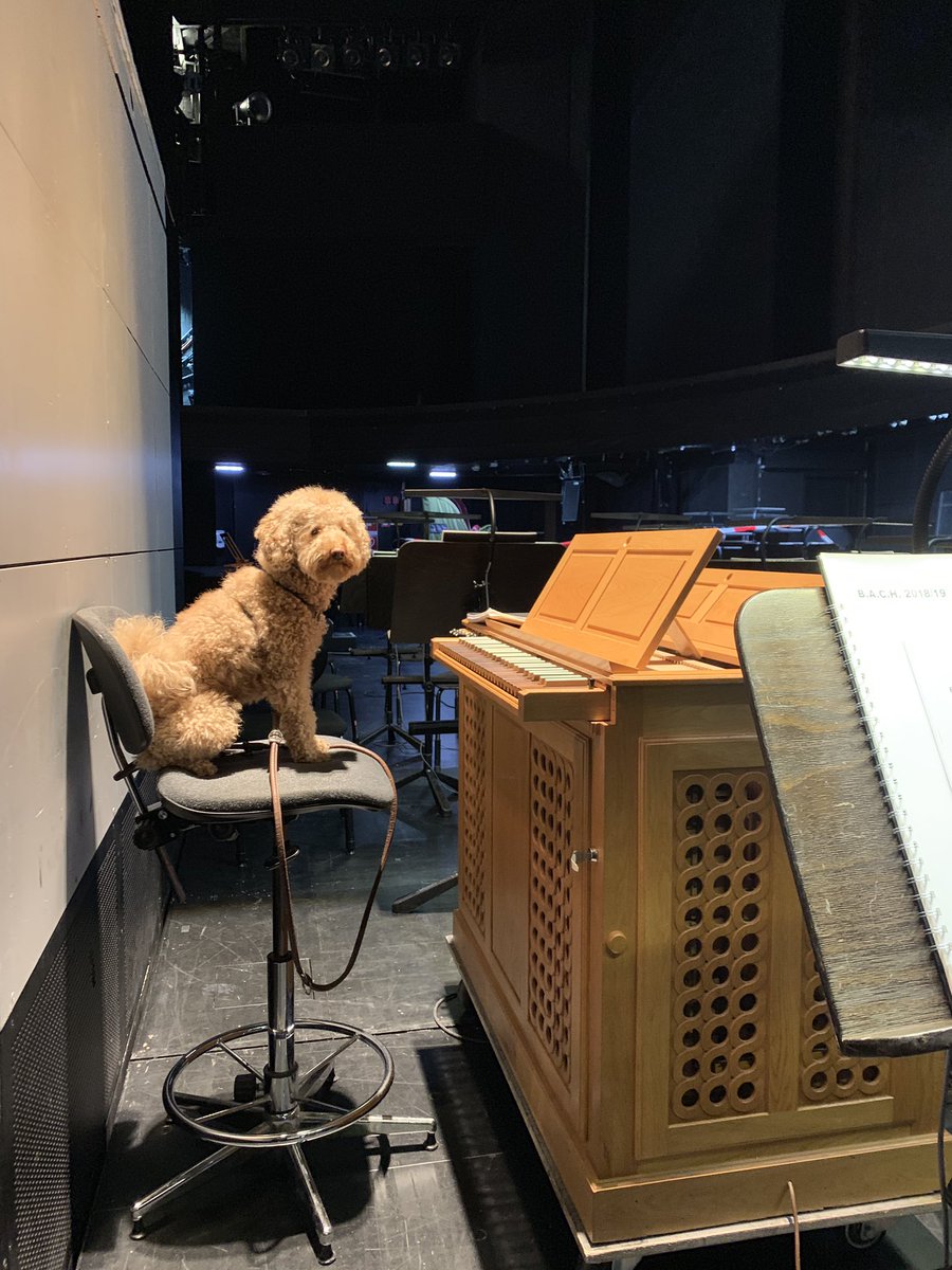 JoergHalubek's tweet photo. Heute Abend: Konzertante Aufführung des Bachkantaten-Abends @StaatstheaterKS wegen Streik. Sir Henry spielt die Orgel. #bach #kantate #BAROQUE https://t.co/hDzcPgiafz