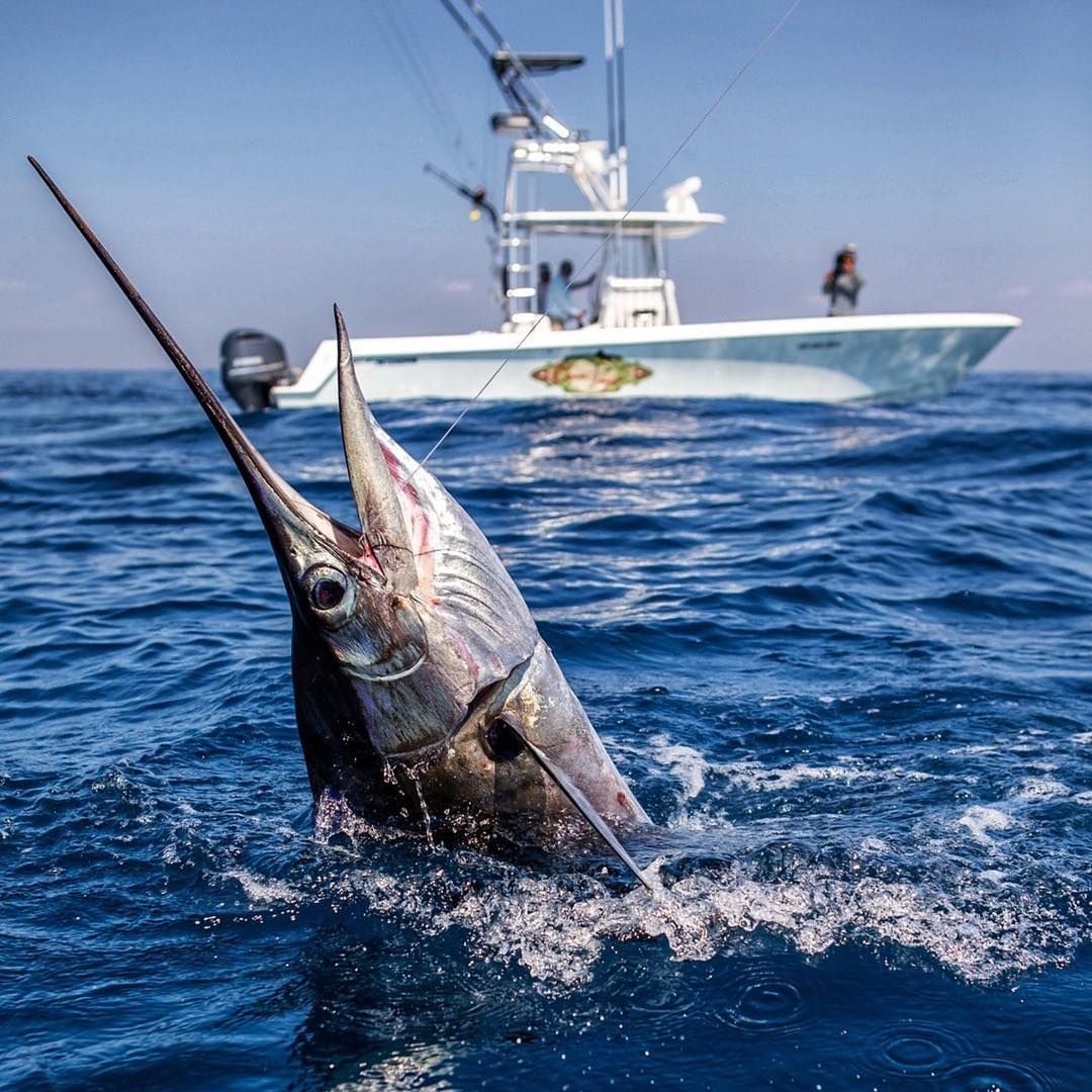 Contender Boats Inc tweet media